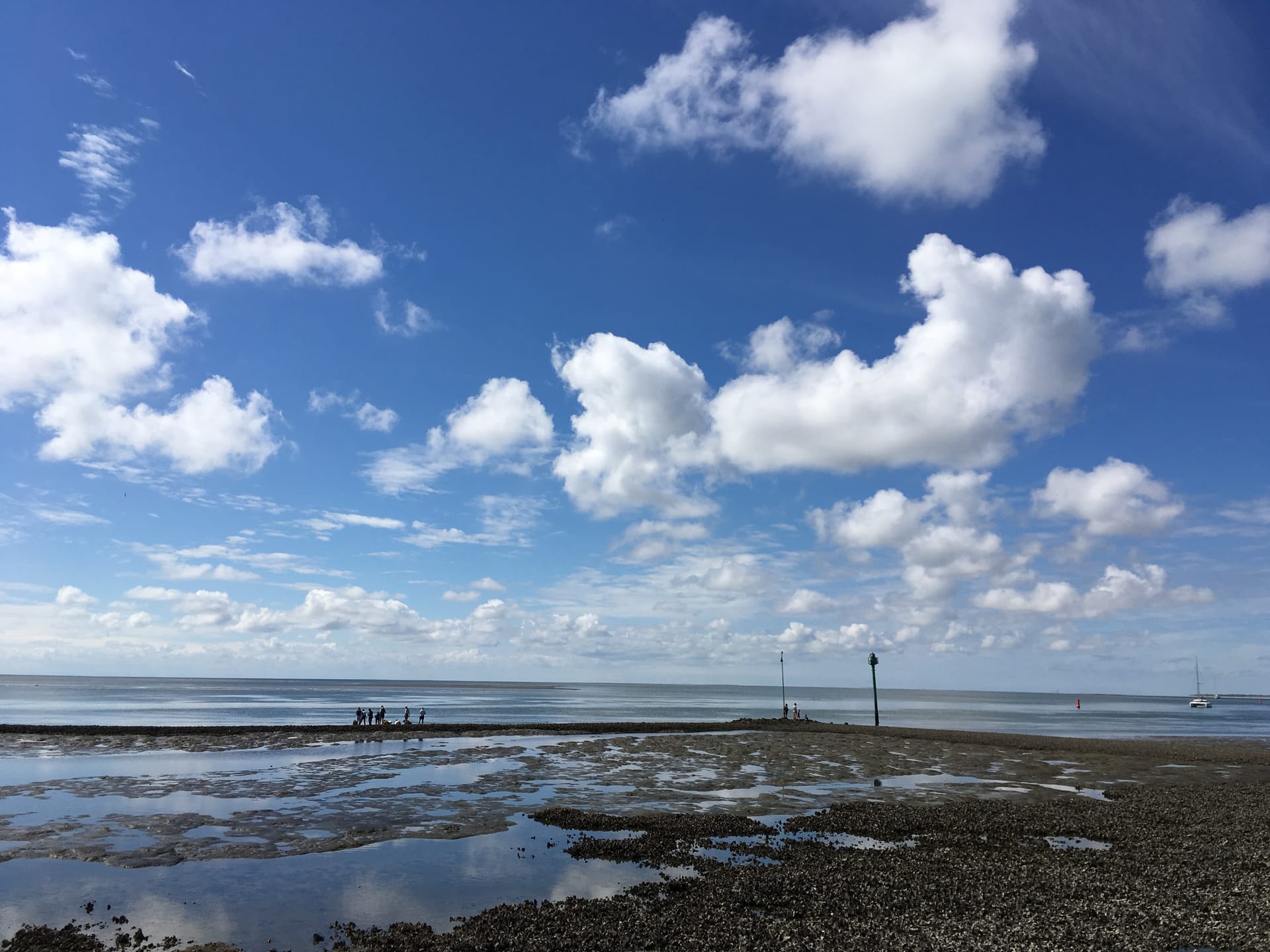 Waddenzee