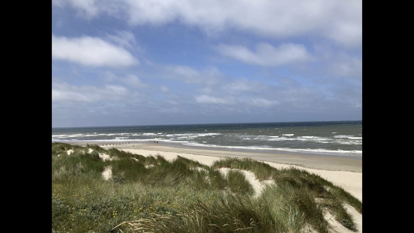Duinen en strand