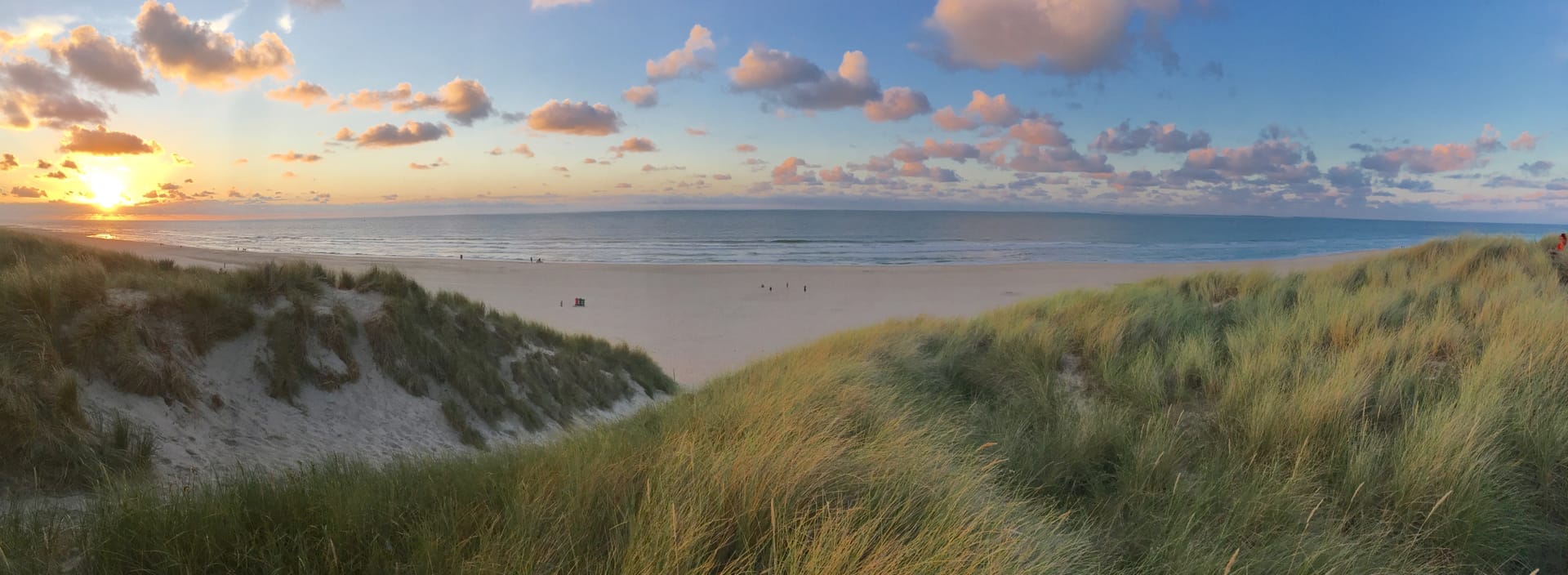 Duinen op Vlieland